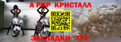 СК Рыбинск