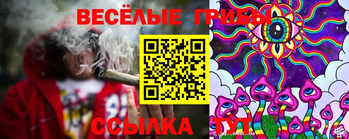 Псилоцибиновые грибы Cubensis Павлово