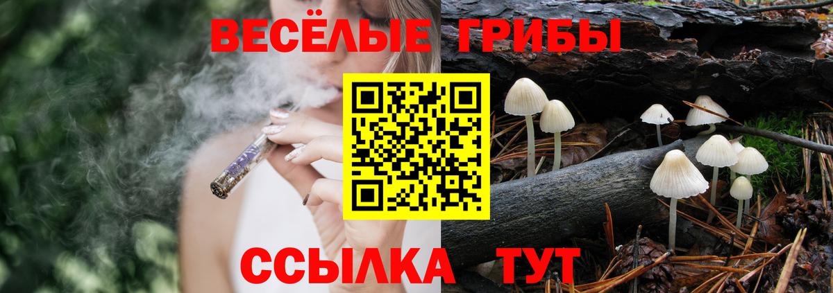 Павлово  Галлюциногенные грибы Magic Shrooms  Вход с VPN 